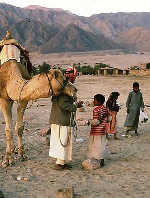 A Bedouin family