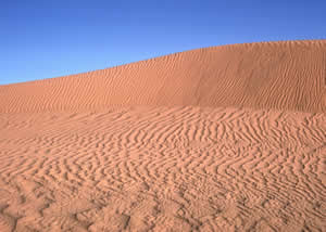 Sandy desert