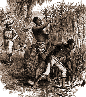 The Caribbean Slavery