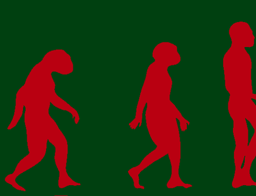 Theory of Evolution