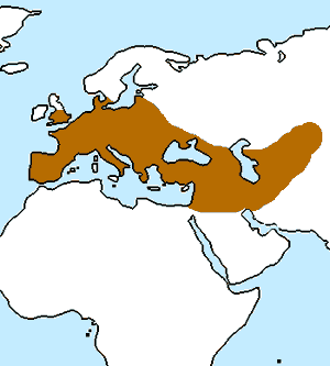 The Spread of Neanderthals (map)