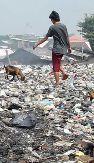 A dalit boy sifting through trash.