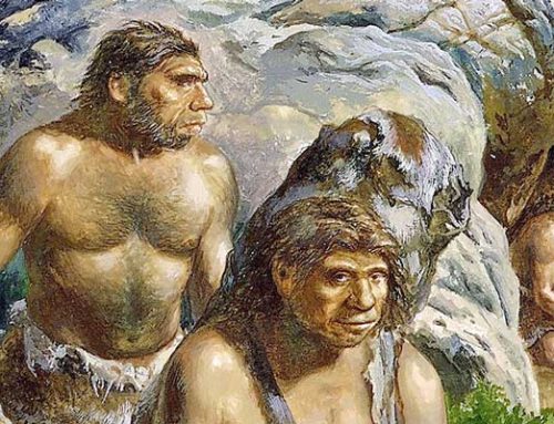 Neanderthals