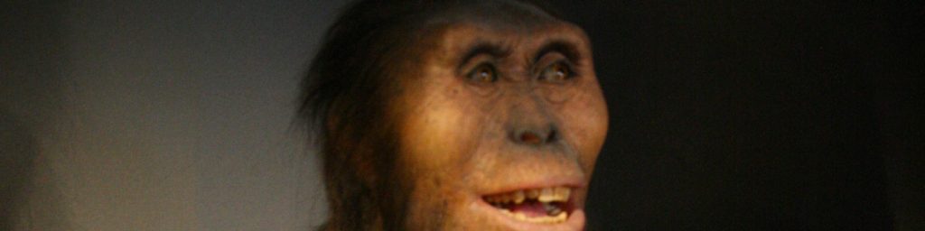 Lucy, one of the oldest hominids in the fossil record.