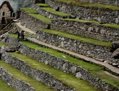 Life in the Inca World