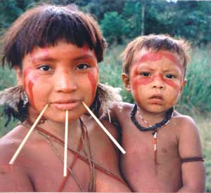 Yanomami The Yanomami