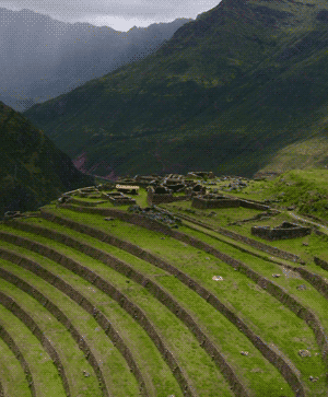 Inca terrace farming